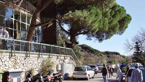 Violenza sessuale a scuola, tornano liberi 3 ragazzi