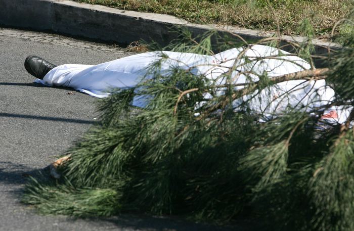 Cade ramo in un parco, muore 51enne: nipotina di due anni finisce in ospedale