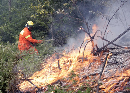 Incendio di bosco sulle alture di Multedo, Vigili del Fuoco in azione