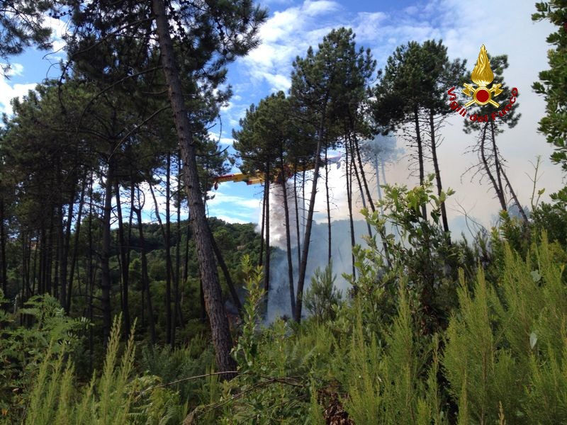 Boschi in fiamme a Pitelli, Vigili del Fuoco al lavoro senza sosta dall'alba