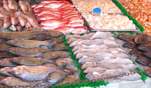 Finito lo sciopero, torna il pesce fresco sulle tavole degli italiani 