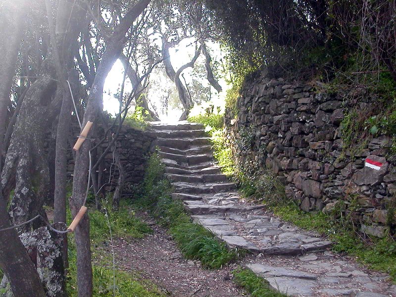 Cadono su sentiero Cinque Terre, intervengono Vigili del fuoco