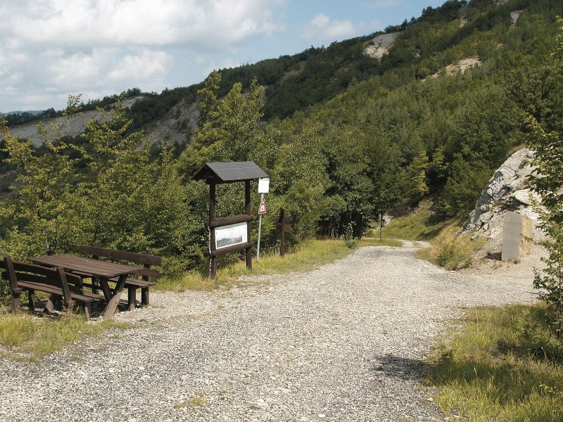 Escursionisti si perdono sul monte Carpano, ritrovati