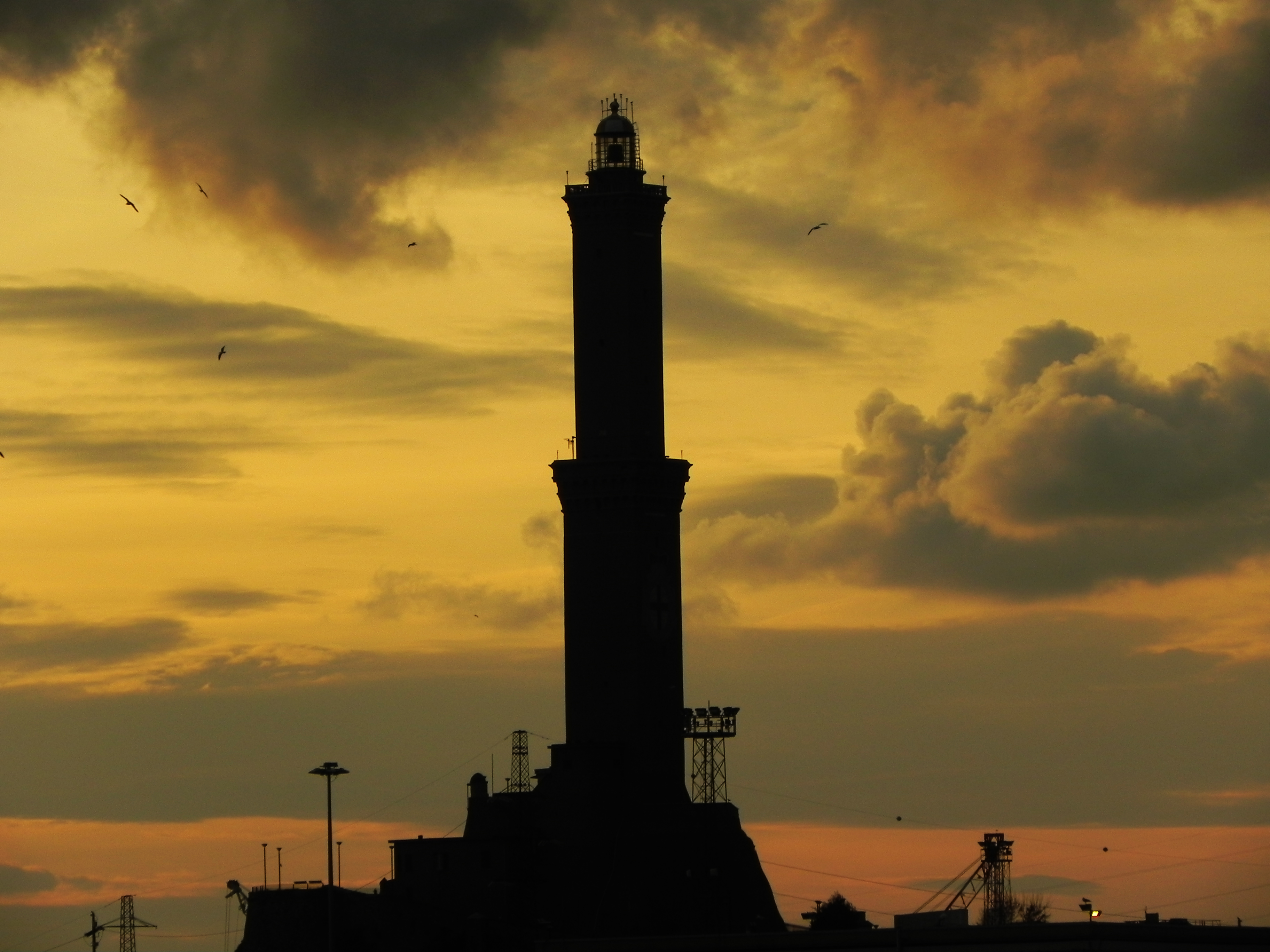 Stasera la Genova del mare a Liguria Ancheu e tg zeneize