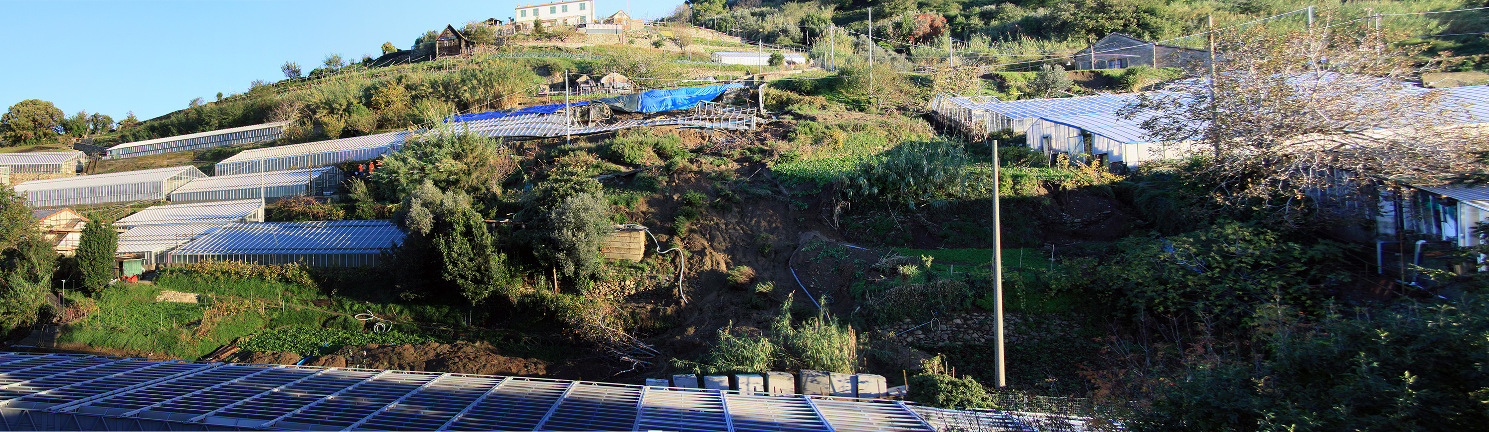 Agricoltura nel fango, frana la collina del basilico Dop a Genova Prà 