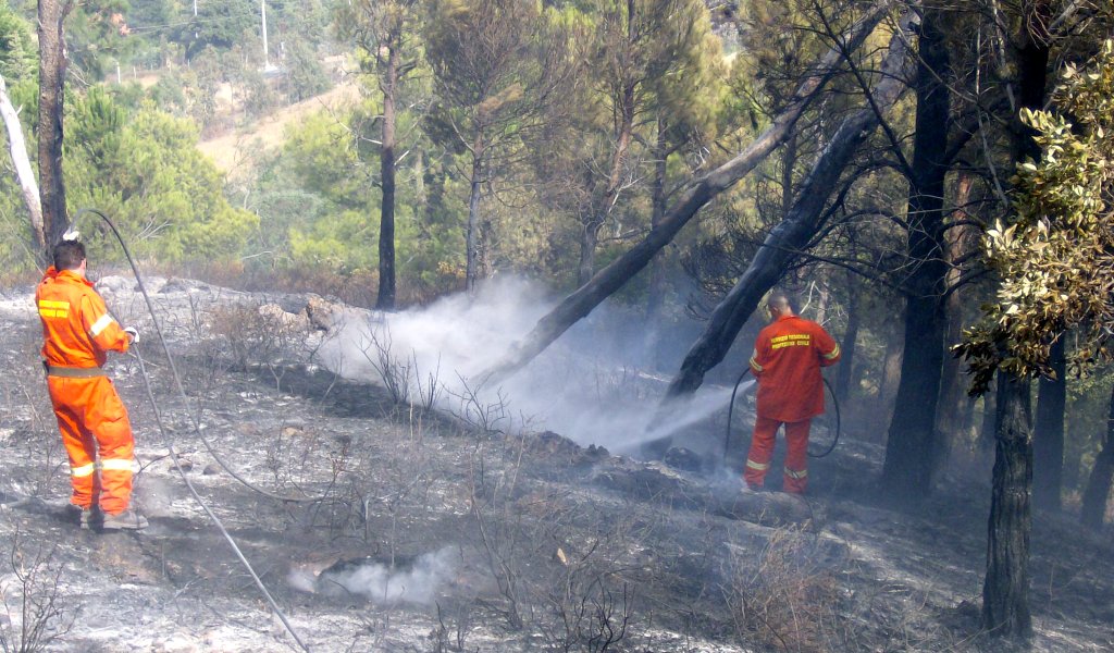 Incendio di bosco nell'imperiese, le fiamme alimentate dal vento