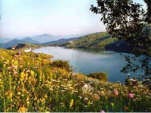 Stasera Viaggio in Liguria, tra Favale, semi e botteghe di ponente