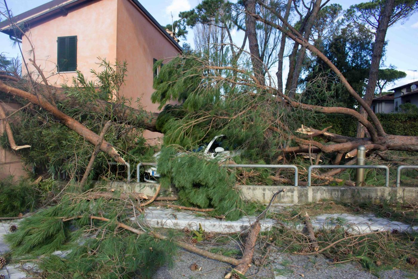 Maltempo, il sindaco di Forte dei Marmi: 