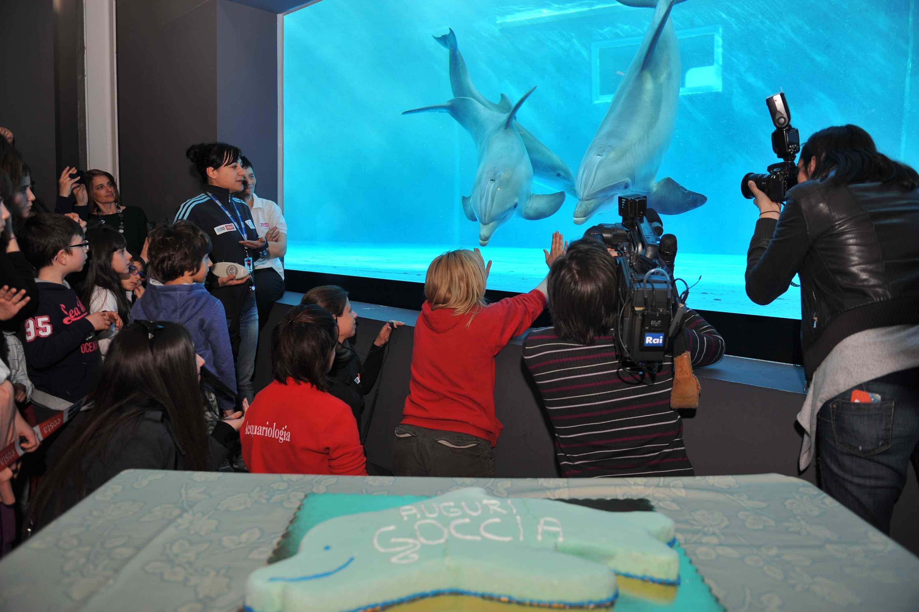 Grande festa all'Acquario di Genova per il battesimo di 'Goccia'