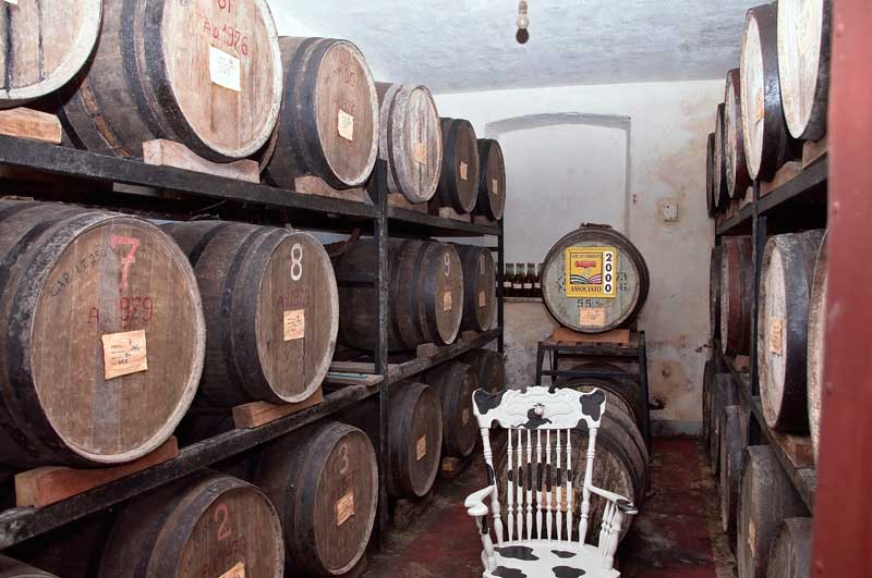 Furto nella distilleria della Grappa Barile, sparite 230 bottiglie da collezione