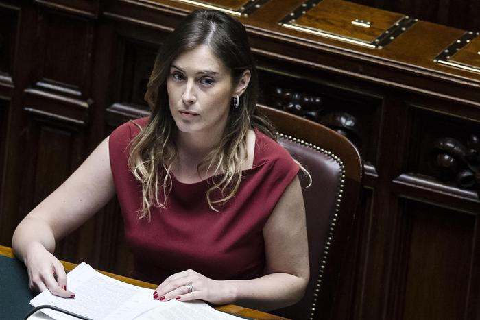 Boschi: 