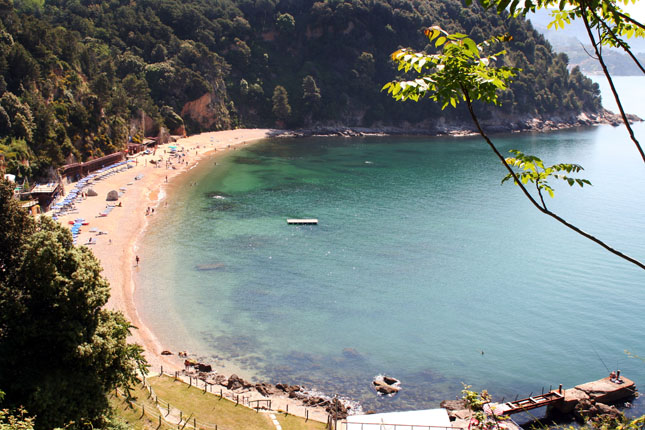 Lerici, fiamme in una pineta Paura durante una festa in spiaggia