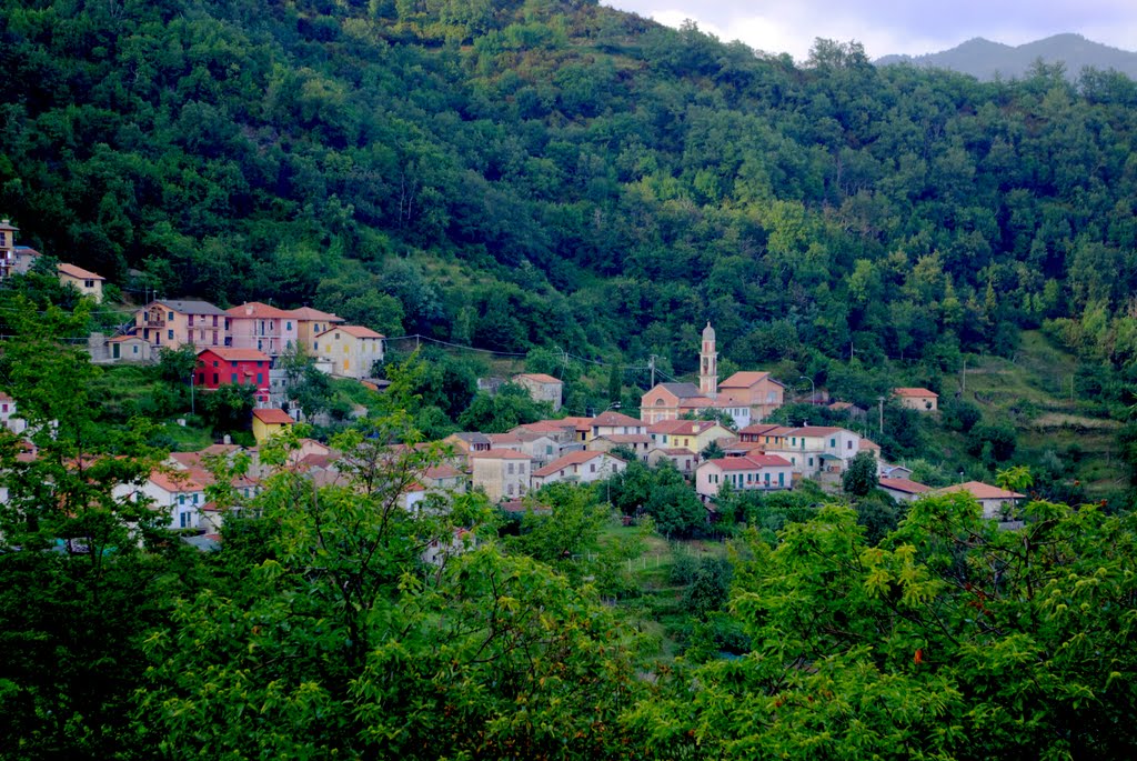 Le pietre dei boschi liguri protagoniste in Giappone