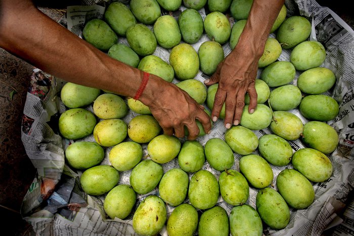 India: lite per furto manghi, uccisa