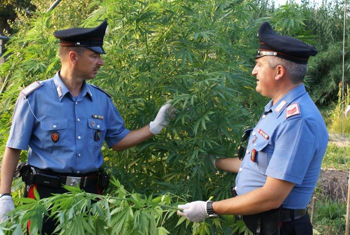 Traffico di droga a San Luca, 7 arresti