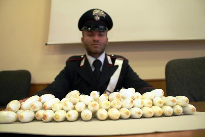 'Ndrangheta,44 arresti per narcotraffico