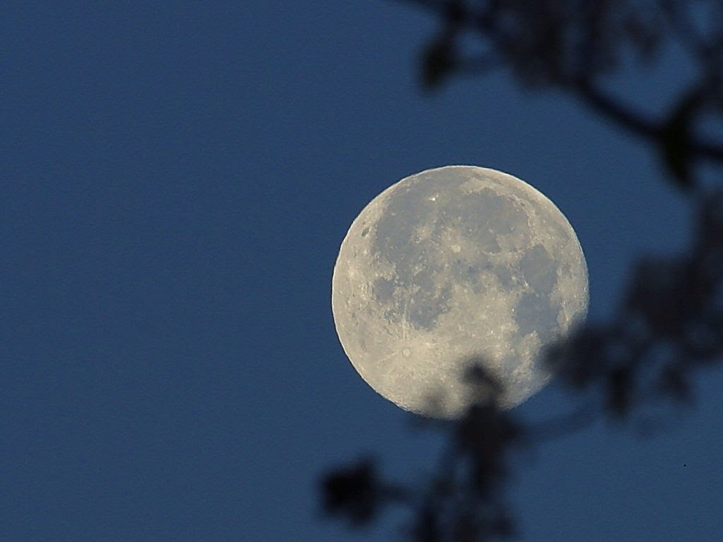 Ecco la notte della Luna Blu: immagini spettacolari a portata di smartphone