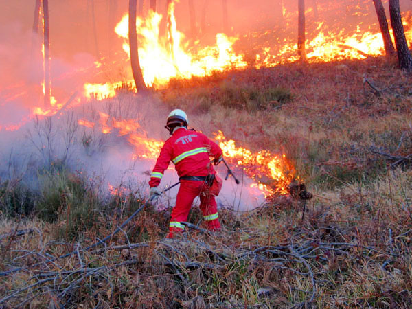 Incendio a Sestri Levante, in fumo 2 ettari di macchia mediterranea