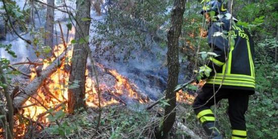 Incendi, ancora roghi nell'imperiese tra Airole e Ventimiglia