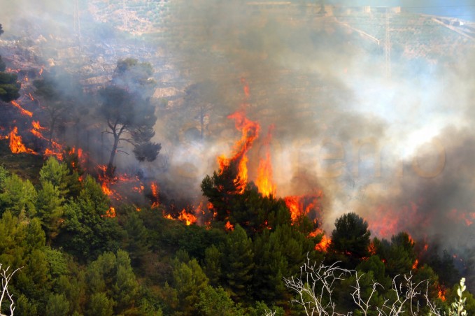 Incendio sulle alture di Vado, minacciate le abitazioni