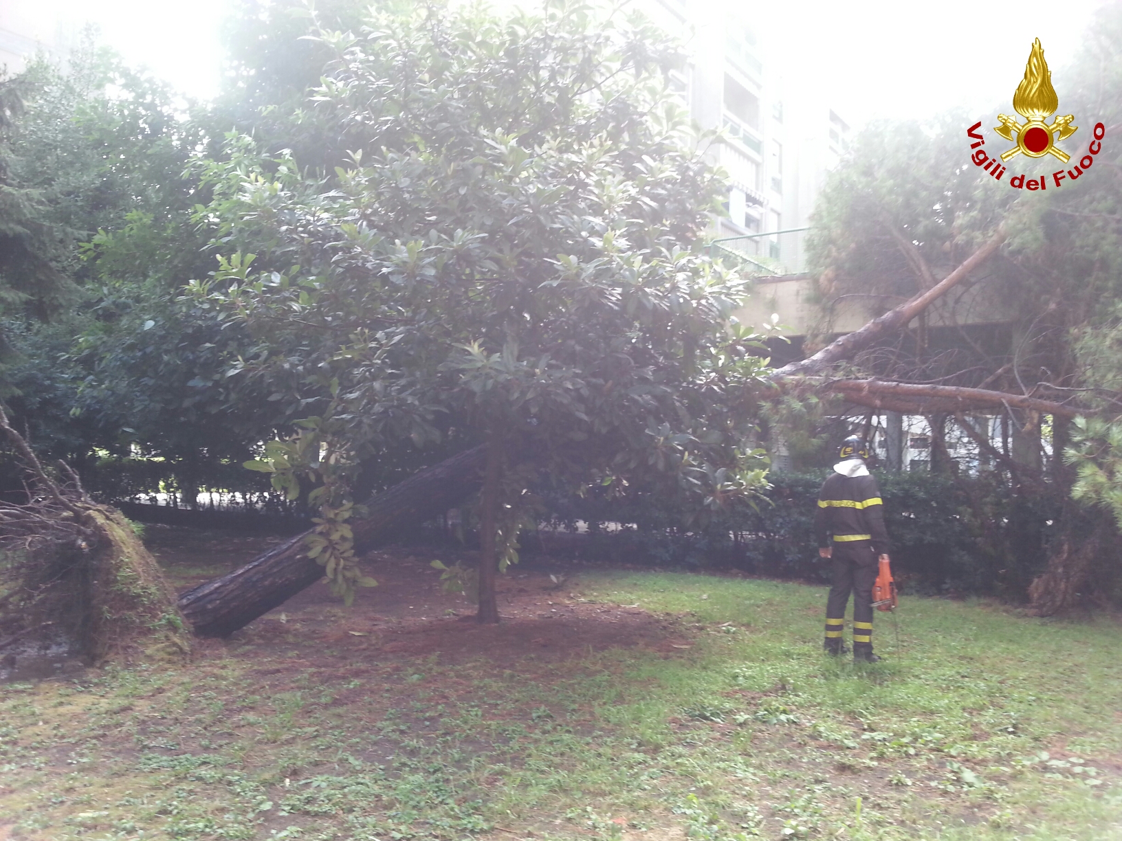 Alberi abbattuti e allagamenti, nel levante si contano i danni