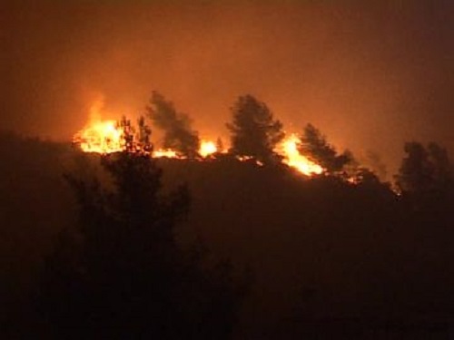 Incendi boschivi, fiamme dalla notte nei boschi di S.Brigida