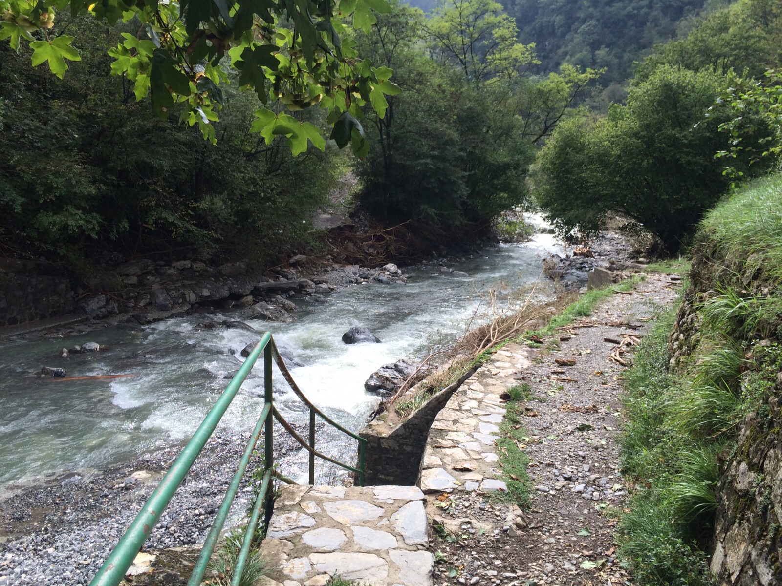 Crolla il ponte sul rio, canile isolato a Davagna: 