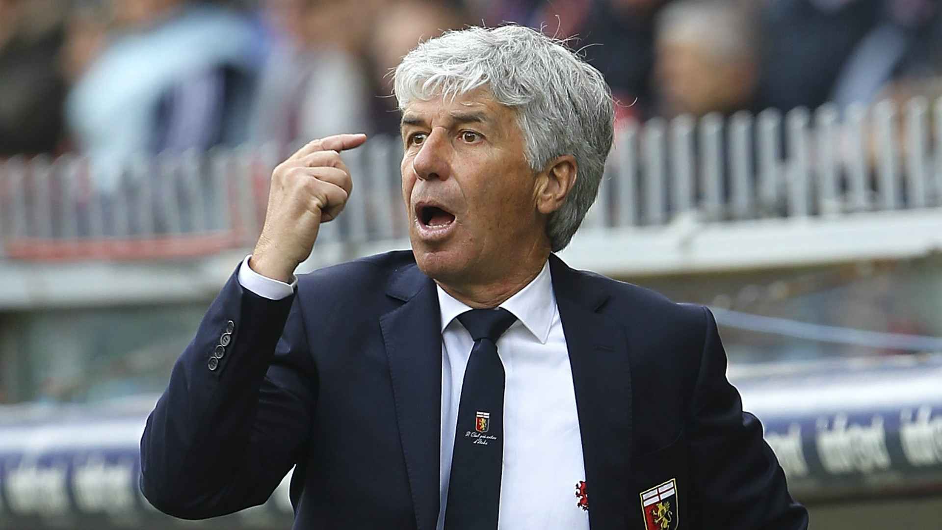 Genoa, Gasperini: 