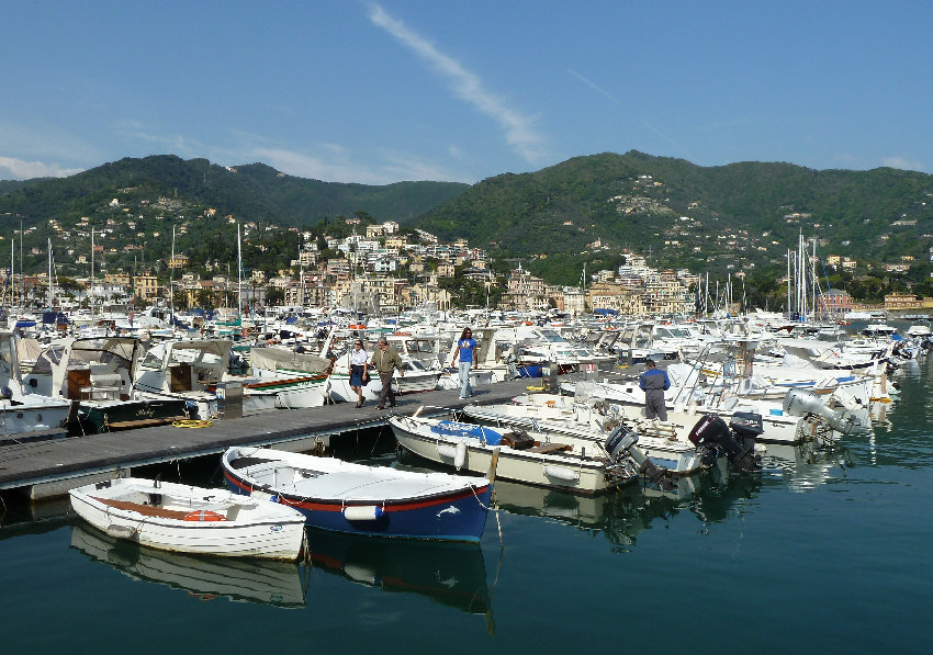 Albero di 10 metri sfiora i moli nel porticciolo turistico di Rapallo: rimosso dai vigili del fuoco