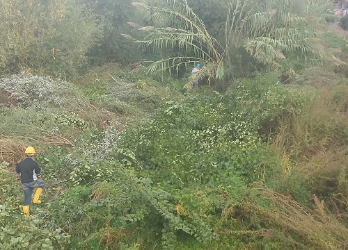 Iniziati i lavori di pulizia del fiume Roja a Ventimiglia, si completeranno entro fine mese