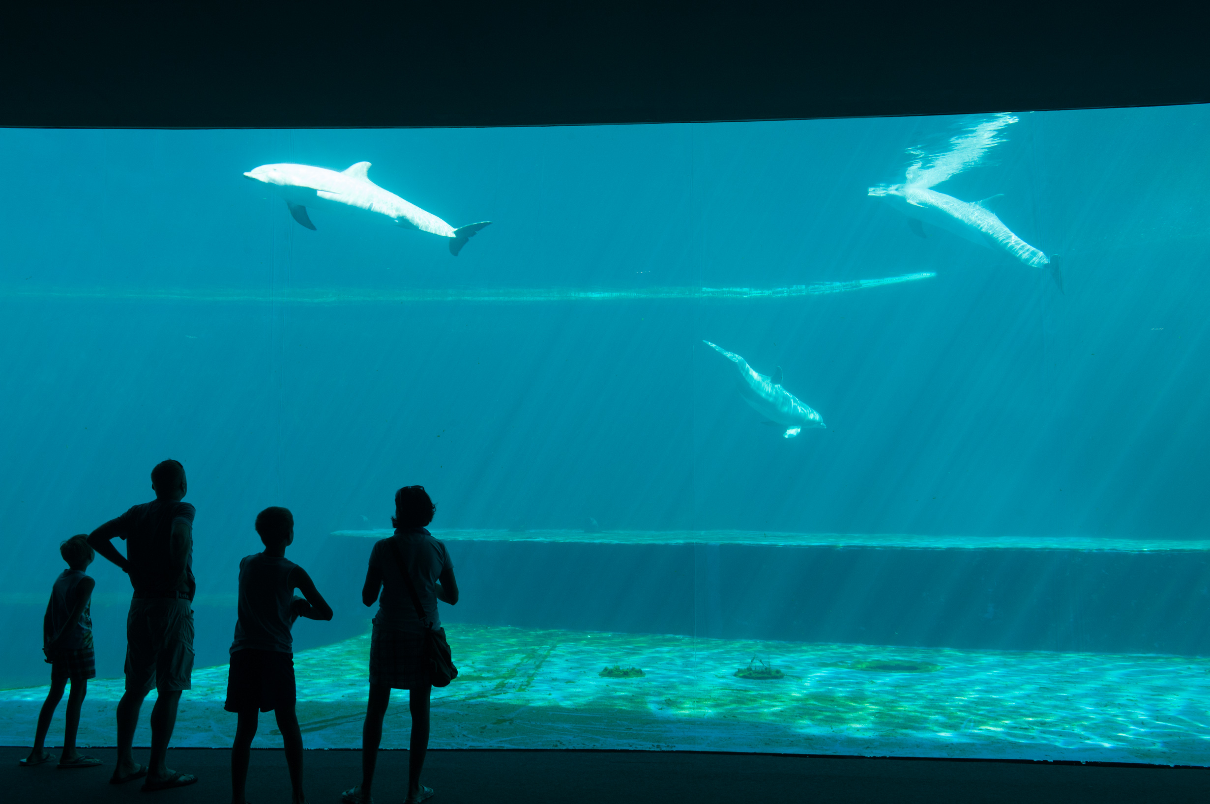 Acquario di Genova premiato con il 'Sigillo Oro' tedesco 