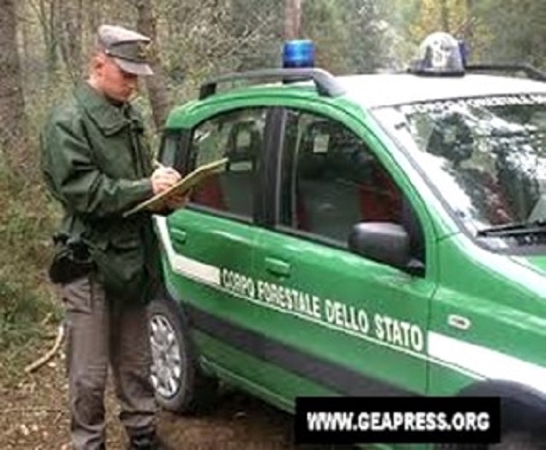 Torriglia, scoperto deposito di mezzi abbandonati: una persona denunciata