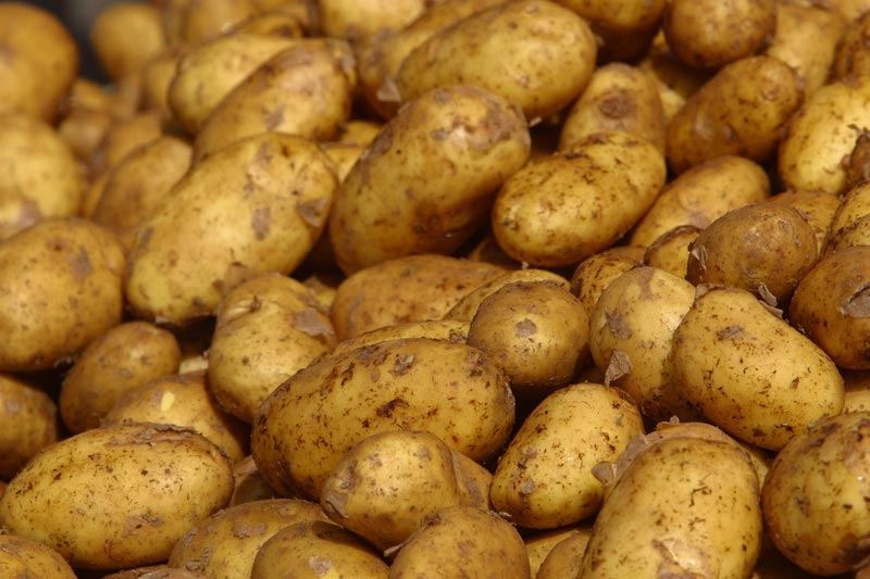  Rubano furgone e abbandonano il carico di quintali di patate 