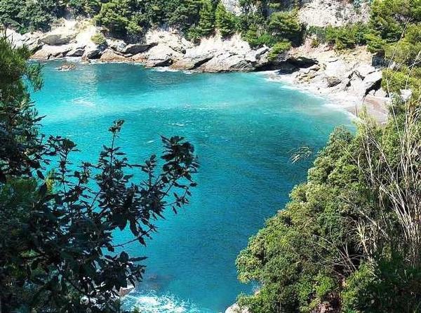 Un'anfora romana è stata ritrovata nella baia di Lerici 