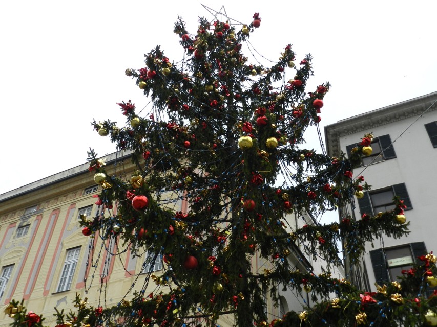 Domani l'accensione dell'albero di Natale in piazza De Ferrari