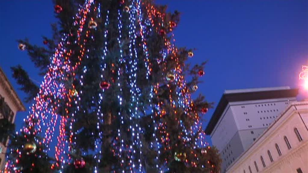 Acceso l'albero di Natale in piazza De Ferrari. Doria: 