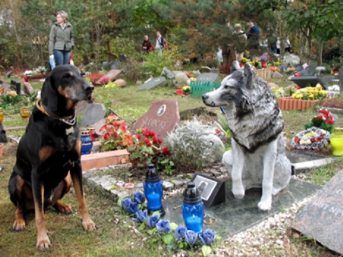 Via libera a cimiteri per animali domestici 