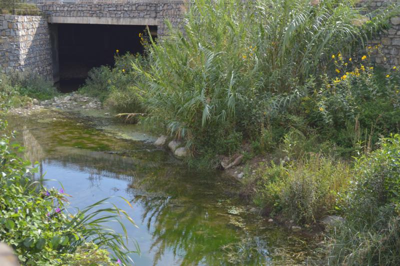 Proiettili di artiglieria trovati nel torrente Caramagna di Imperia