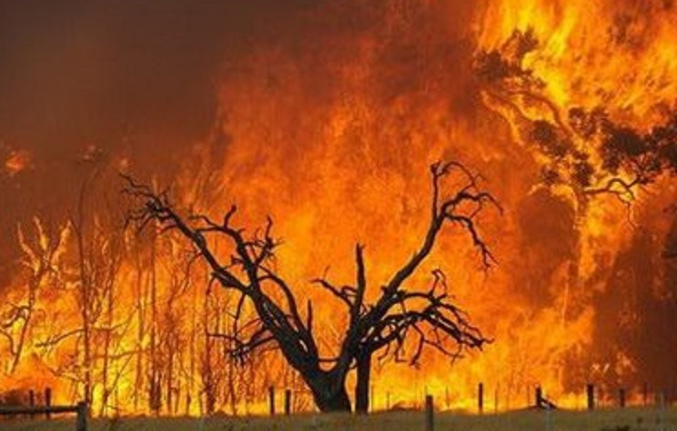 Incendi e alluvioni in Australia, andate in fiamme 95 case 