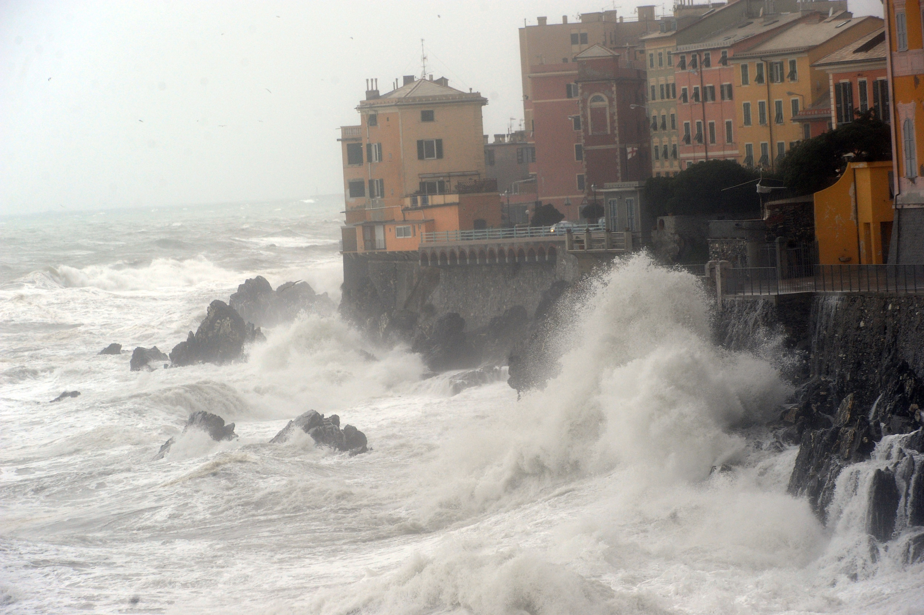 Maltempo in Liguria: Sopraelevata chiusa per vento forte, allerta gialla a Levante