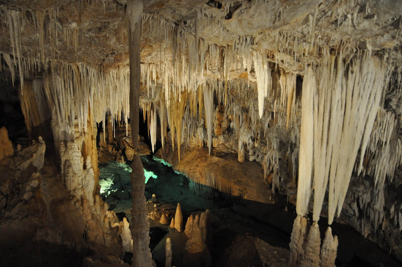 Speleologia, nuovo percorso all'interno delle Grotte di Borgio Verezzi