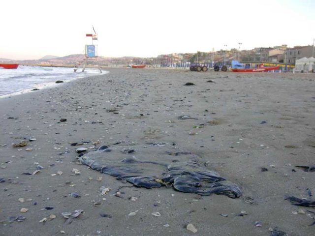 Petrolio nel Polcevera, bitume raccolto in spiaggia a Savona