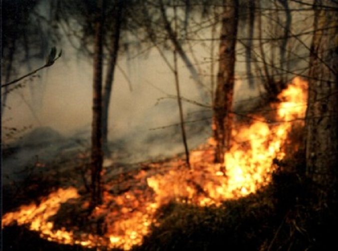 Vasto incendio di bosco a Varazze, vicino alla discarica di via Canavelle