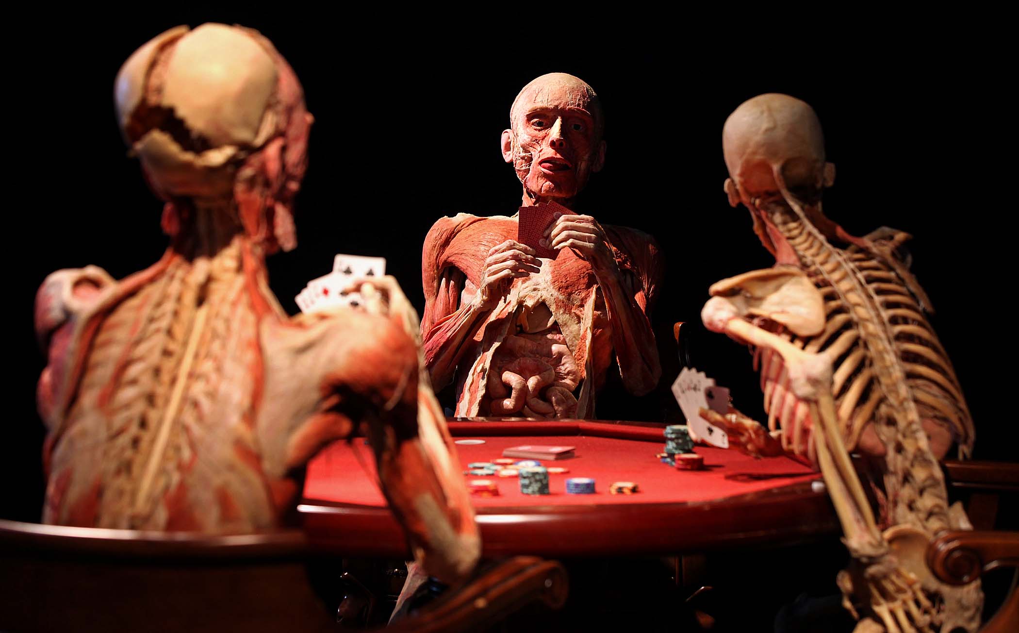 La mostra 'Body worlds' aperta anche domenica 1° maggio