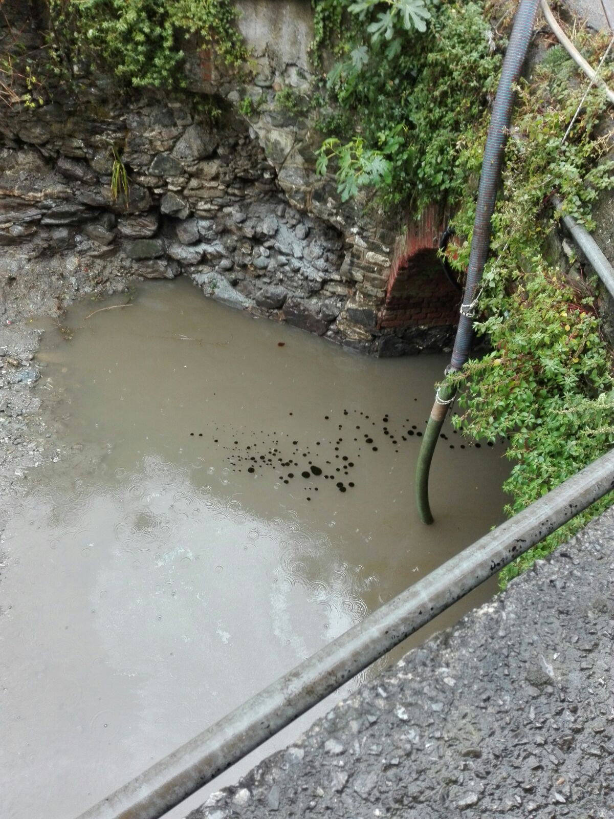 Disastro ambientale, macchie nere nel rio Fegino portate dalla pioggia