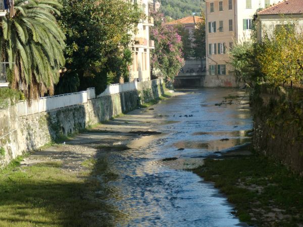 Pulizia Torrente Rupinaro, Levaggi: 