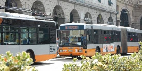 Trasporto pubblico, l'assessore Berrino: 