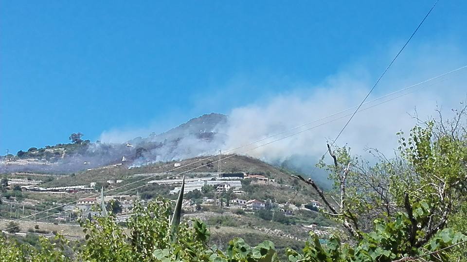 Incendio di sterpaglie a Coldirodi, in fumo due ettari di vegetazione