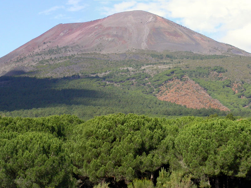 Incendio nel parco del Vesuvio