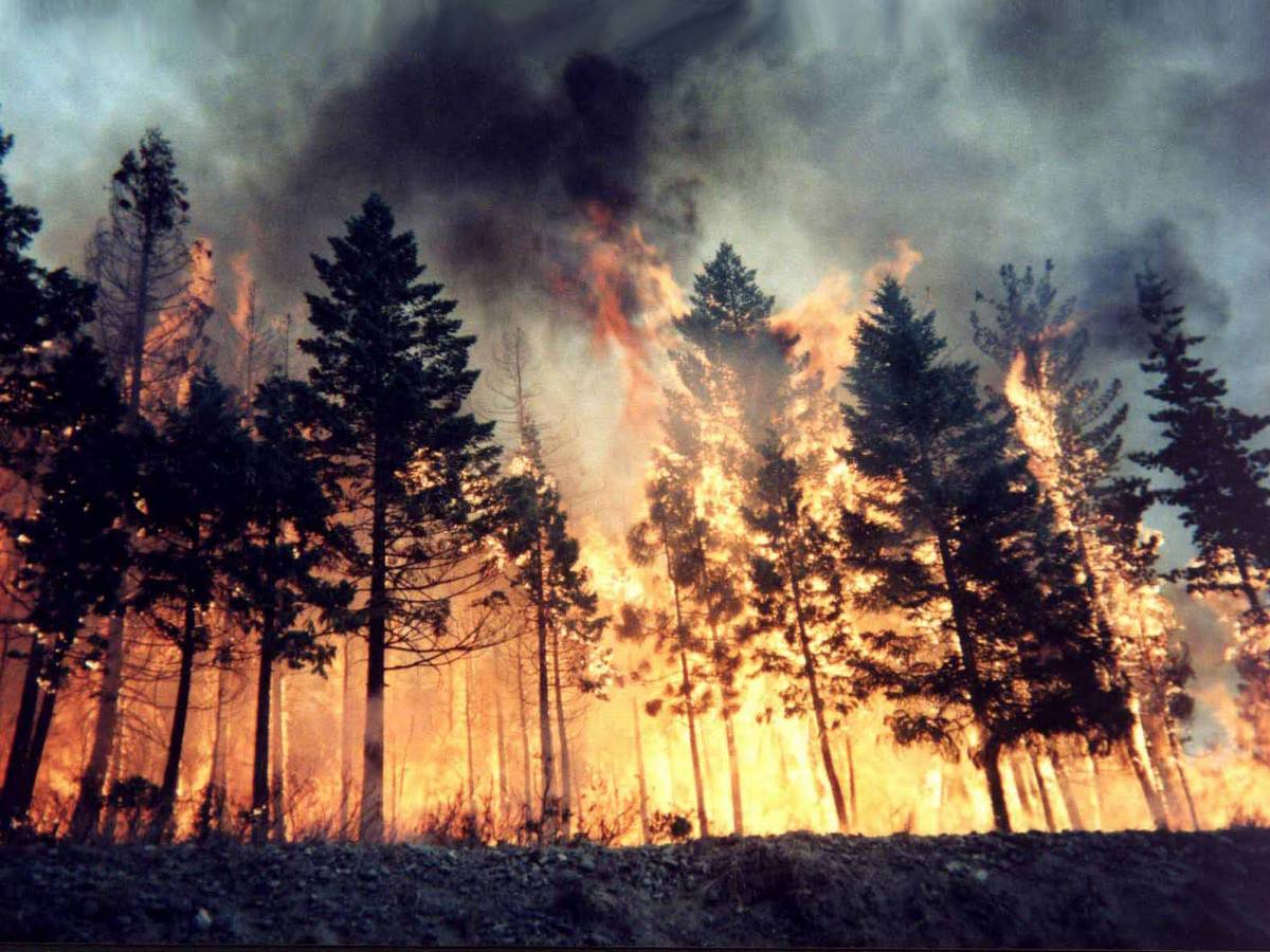 Incendi boschivi, scatta lo stato di grave pericolosità in Liguria